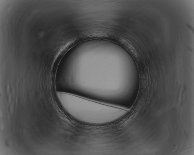 X0000097640395200802290827