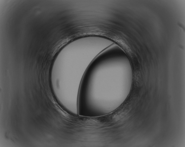 X0000097640397200802290827