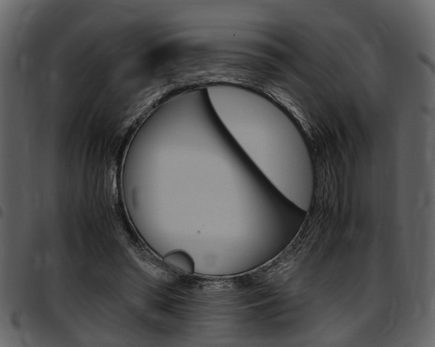 X0000097640398200802290827
