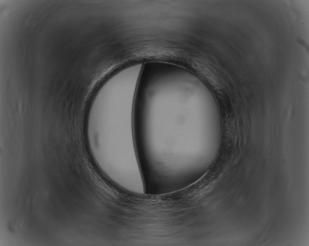 X0000097640399200802290827