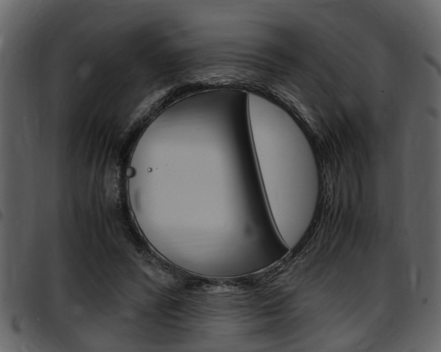X0000097640400200802290827
