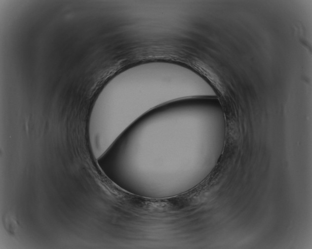 X0000097640401200802290827