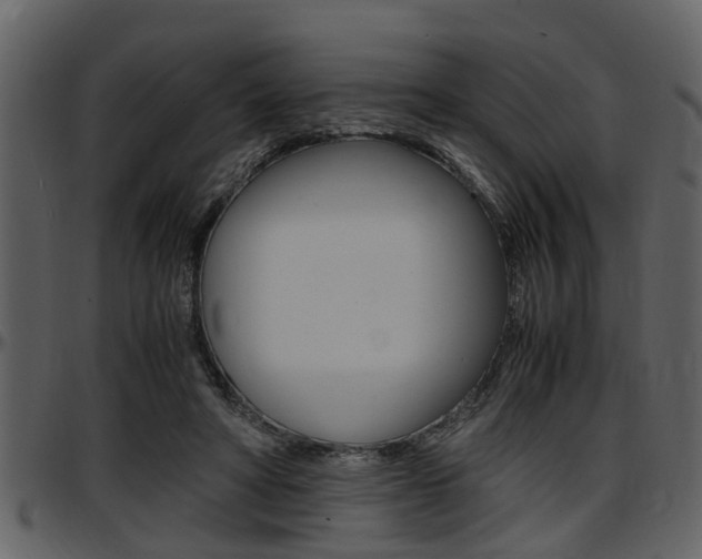X0000097640402200802290827