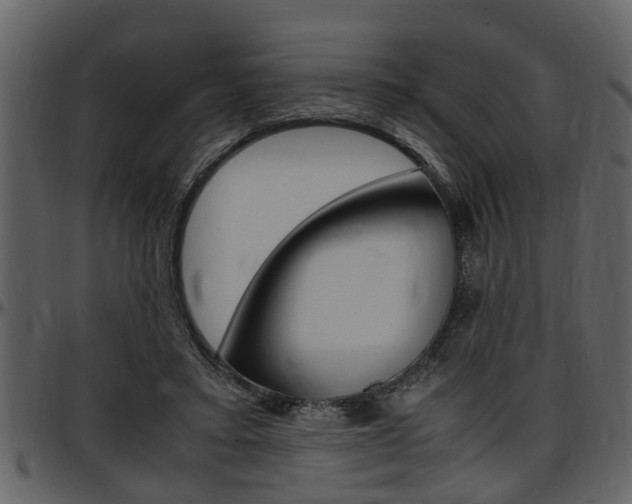 X0000097640403200802290827