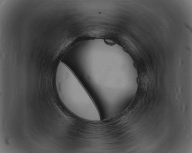 X0000097640404200802290827