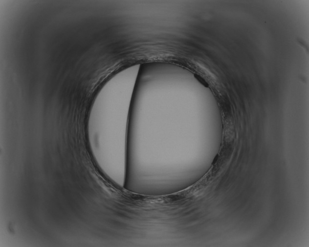 X0000097640405200802290827