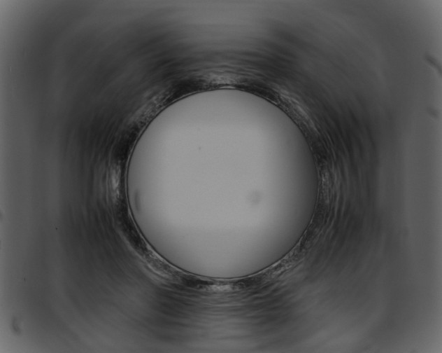 X0000097640406200802290827