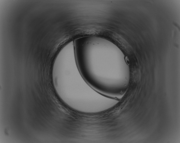 X0000097640407200802290827