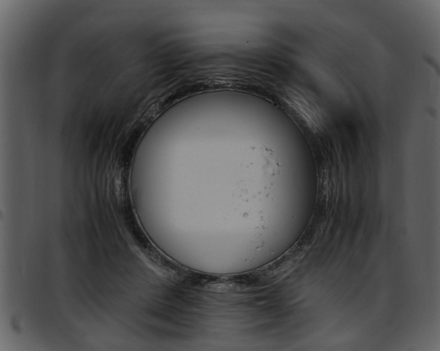 X0000097640408200802290827