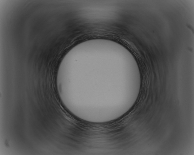 X0000097640409200802290827