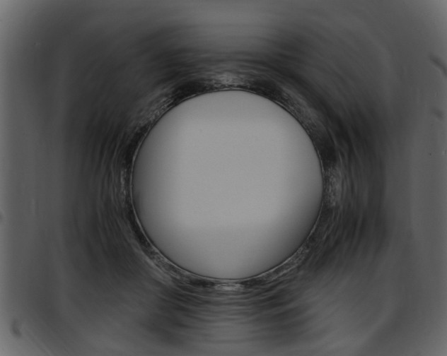 X0000097640410200802290827