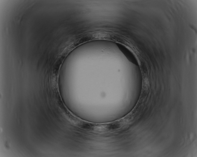 X0000097640411200802290827