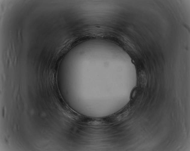 X0000097640412200802290827