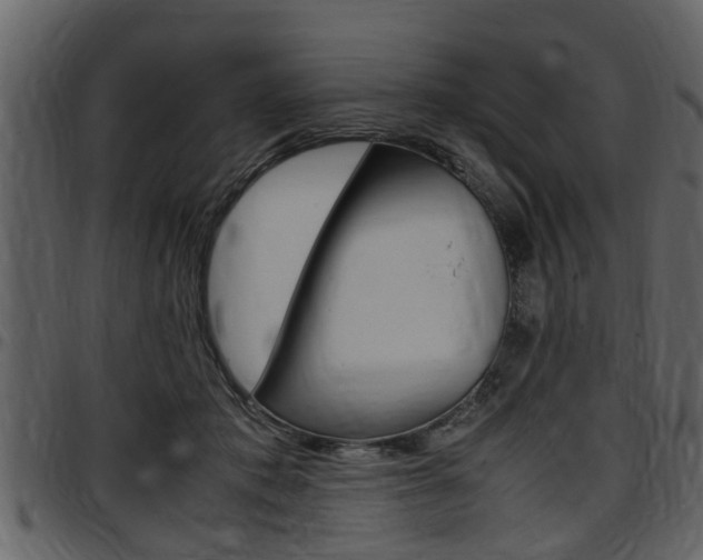 X0000097640413200802290827