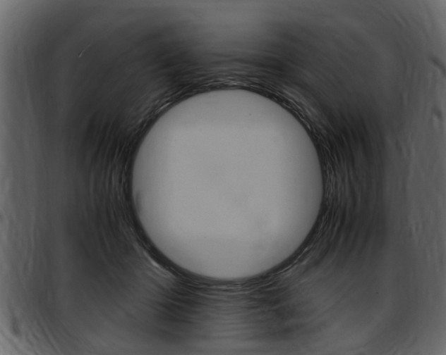 X0000097640414200802290827