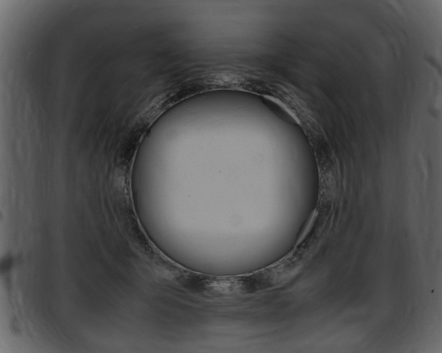 X0000097640415200802290827