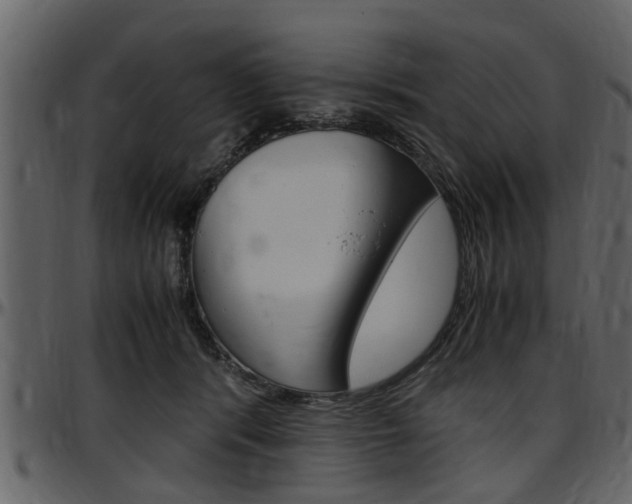 X0000097640416200802290827