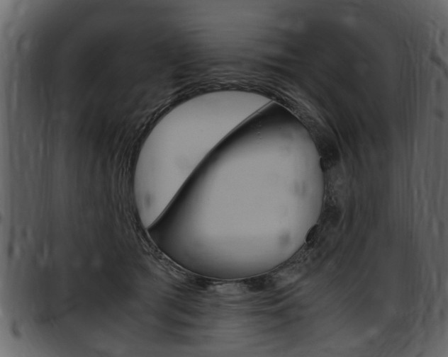 X0000097640417200802290827