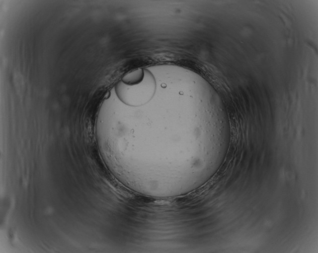 X0000097640418200802290827