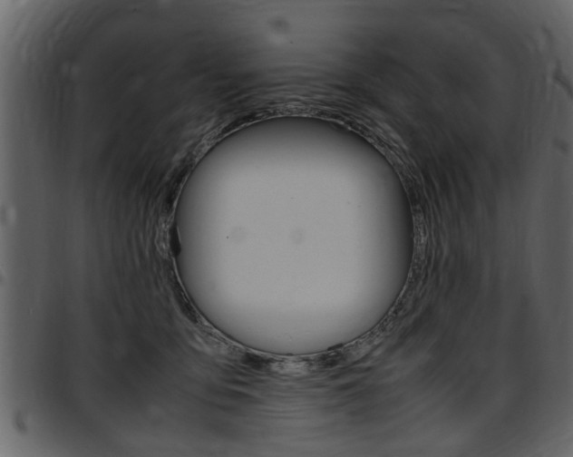 X0000097640419200802290827