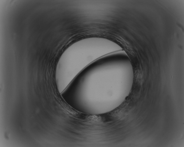 X0000097640421200802290827