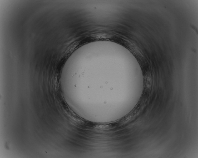 X0000097640422200802290827