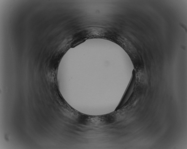 X0000097640423200802290827