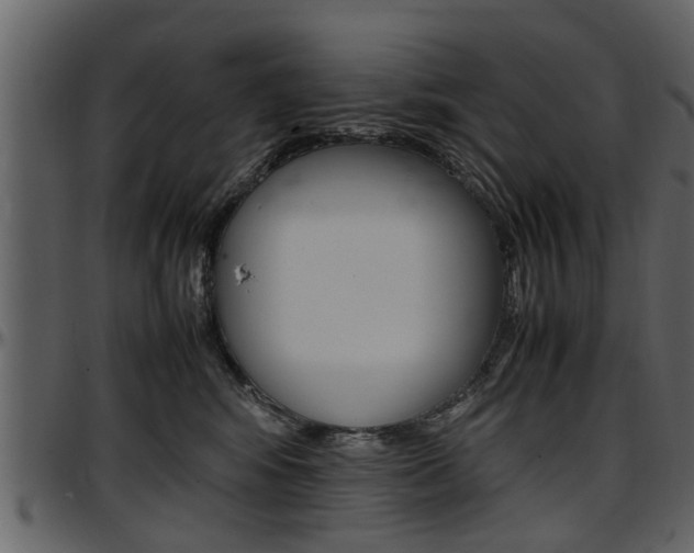 X0000097640424200802290827