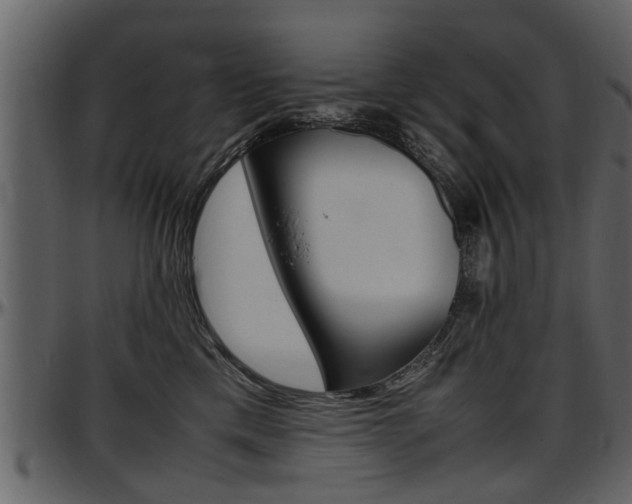 X0000097640425200802290827