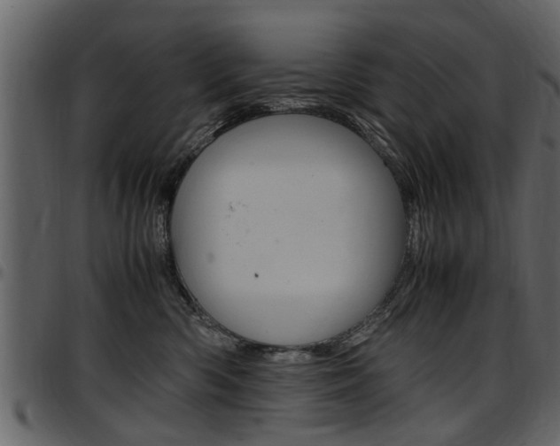 X0000097640426200802290827