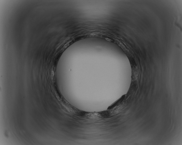 X0000097640427200802290827