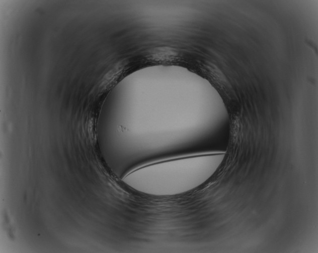 X0000097640428200802290827