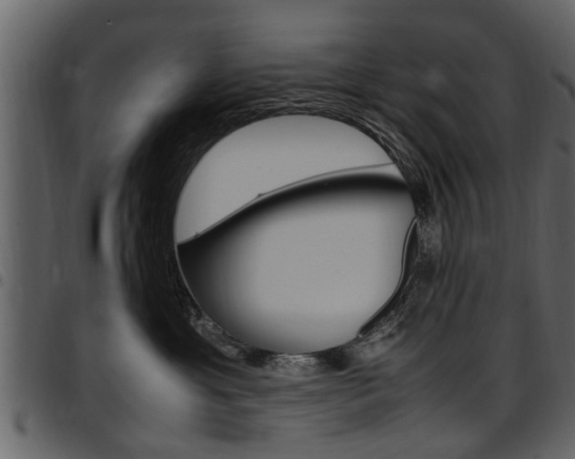 X0000097640429200802290827
