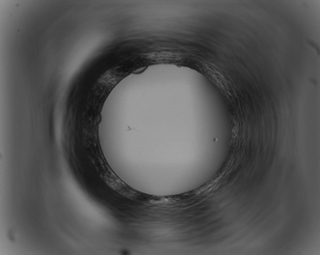 X0000097640430200802290827