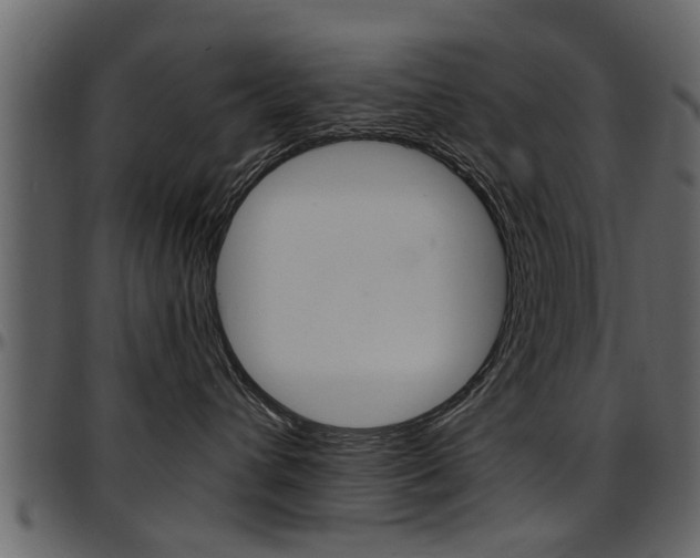 X0000097640432200802290827