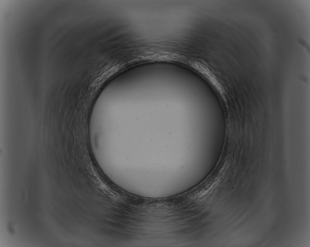 X0000097640433200802290826