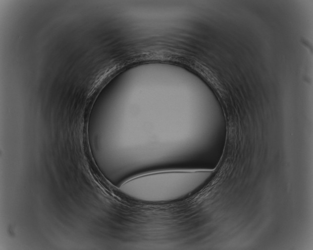 X0000097640434200802290826