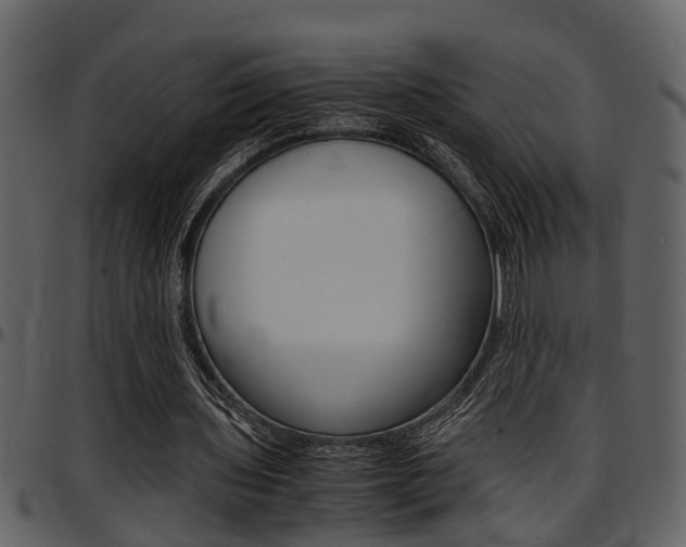 X0000097640435200802290826