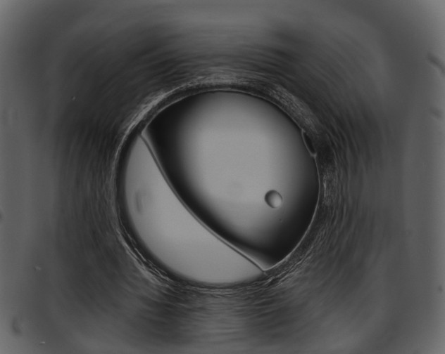 X0000097640436200802290826