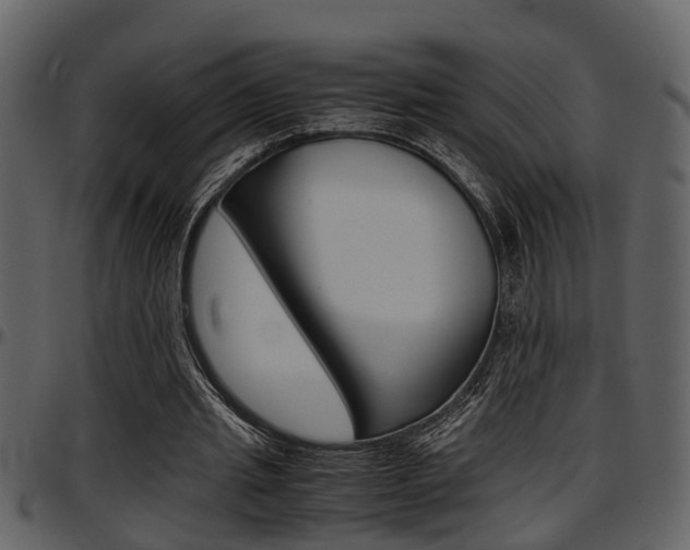 X0000097640437200802290826