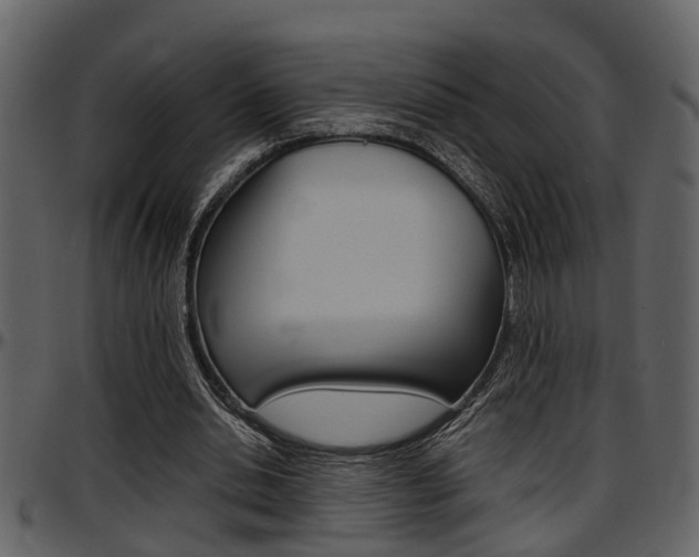 X0000097640438200802290826