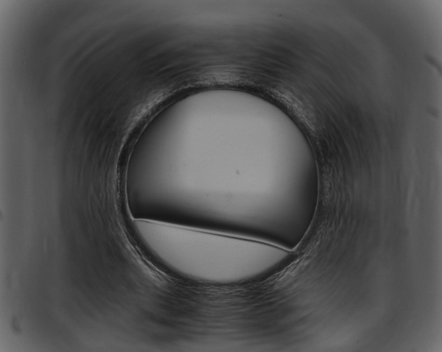 X0000097640439200802290826