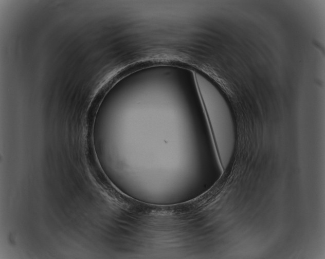 X0000097640440200802290826