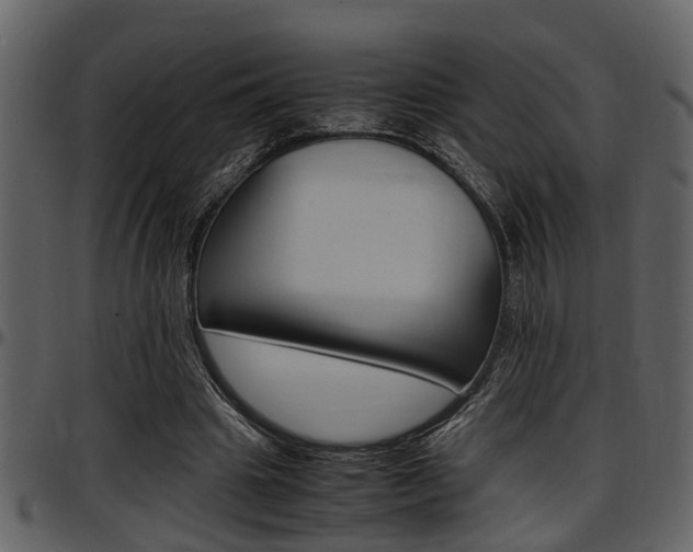 X0000097640441200802290826