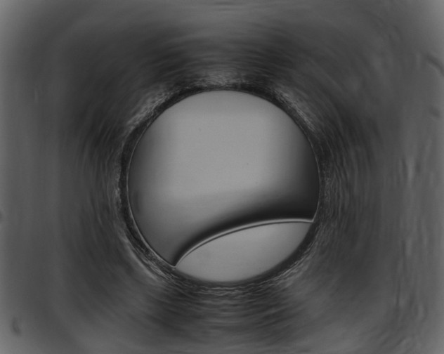 X0000097640443200802290826