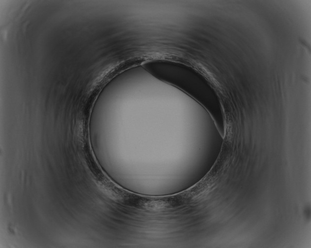 X0000097640444200802290826