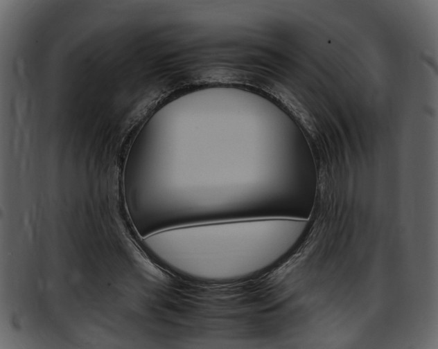 X0000097640445200802290826