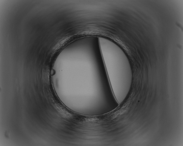 X0000097640446200802290826