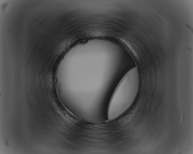 X0000097640447200802290826