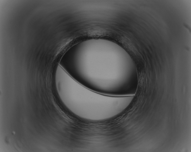 X0000097640448200802290826